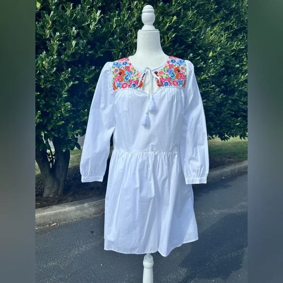 sachin and babi light blue dress J.Crew Womens Embroidered Pineapple Mini Dress Fit main image 1